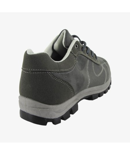 7366 TRAIN.LACCI 40/45