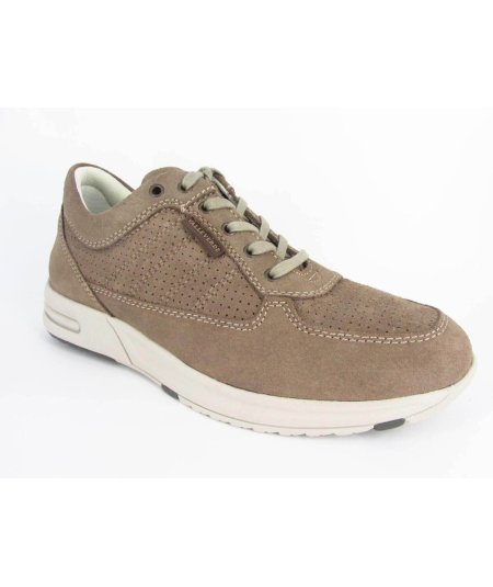 Valleverde Sneaker - Scarpa Uomo