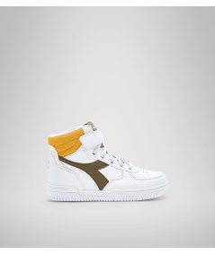 101.177718 BASKET 30/39 AAHÀ       30/35