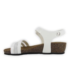 Gold Star GS1611V Fussbet