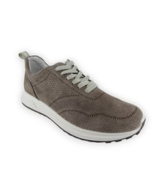 Igi & Co 3629022