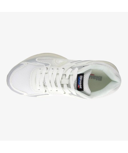 Blauer Eagle 01