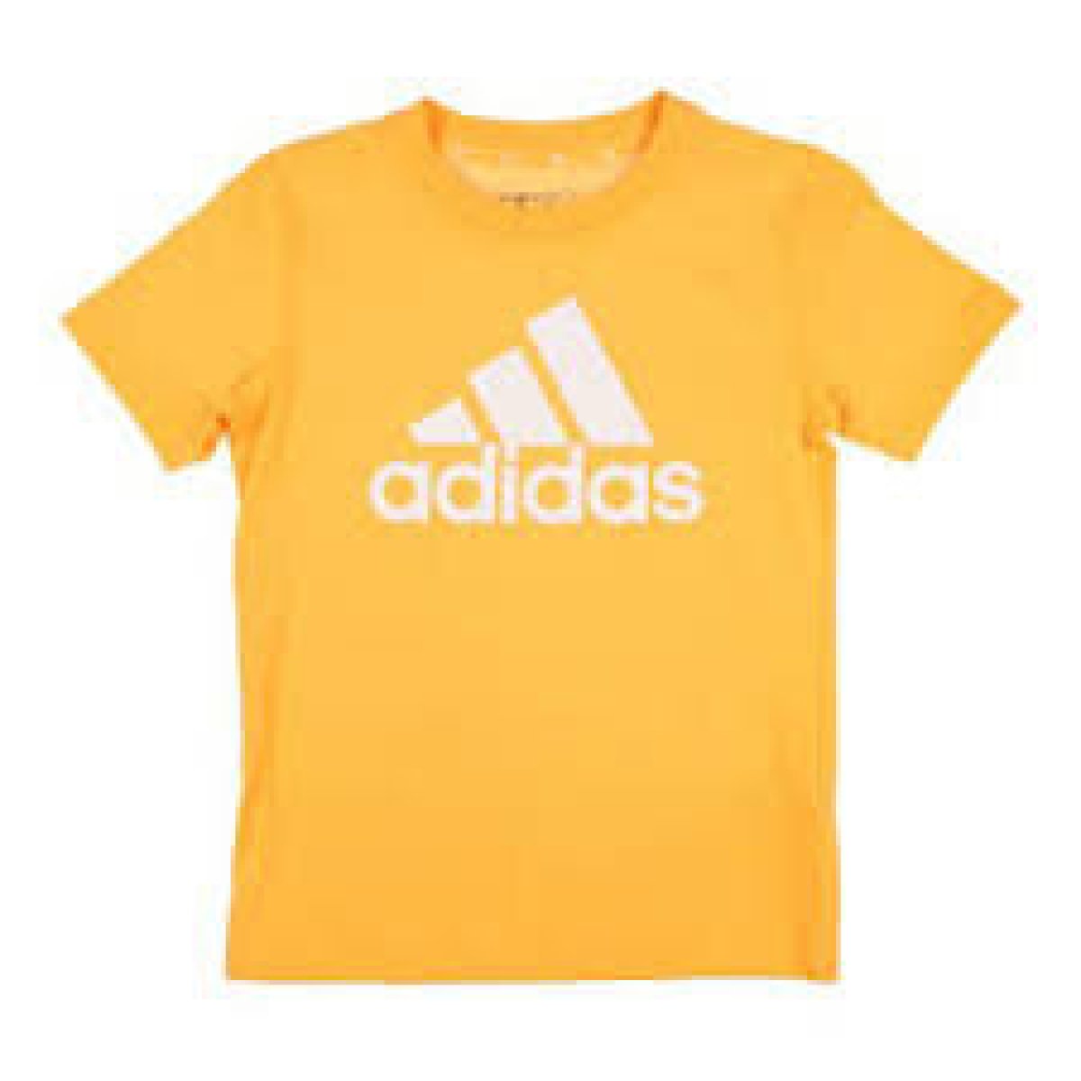 Adidas T-shirt JR Big Logo Cotton