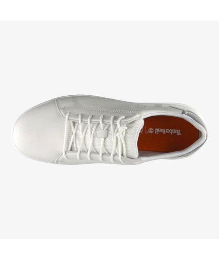 Timberland Seneca Bay LOW Sneaker Bassa In pelle