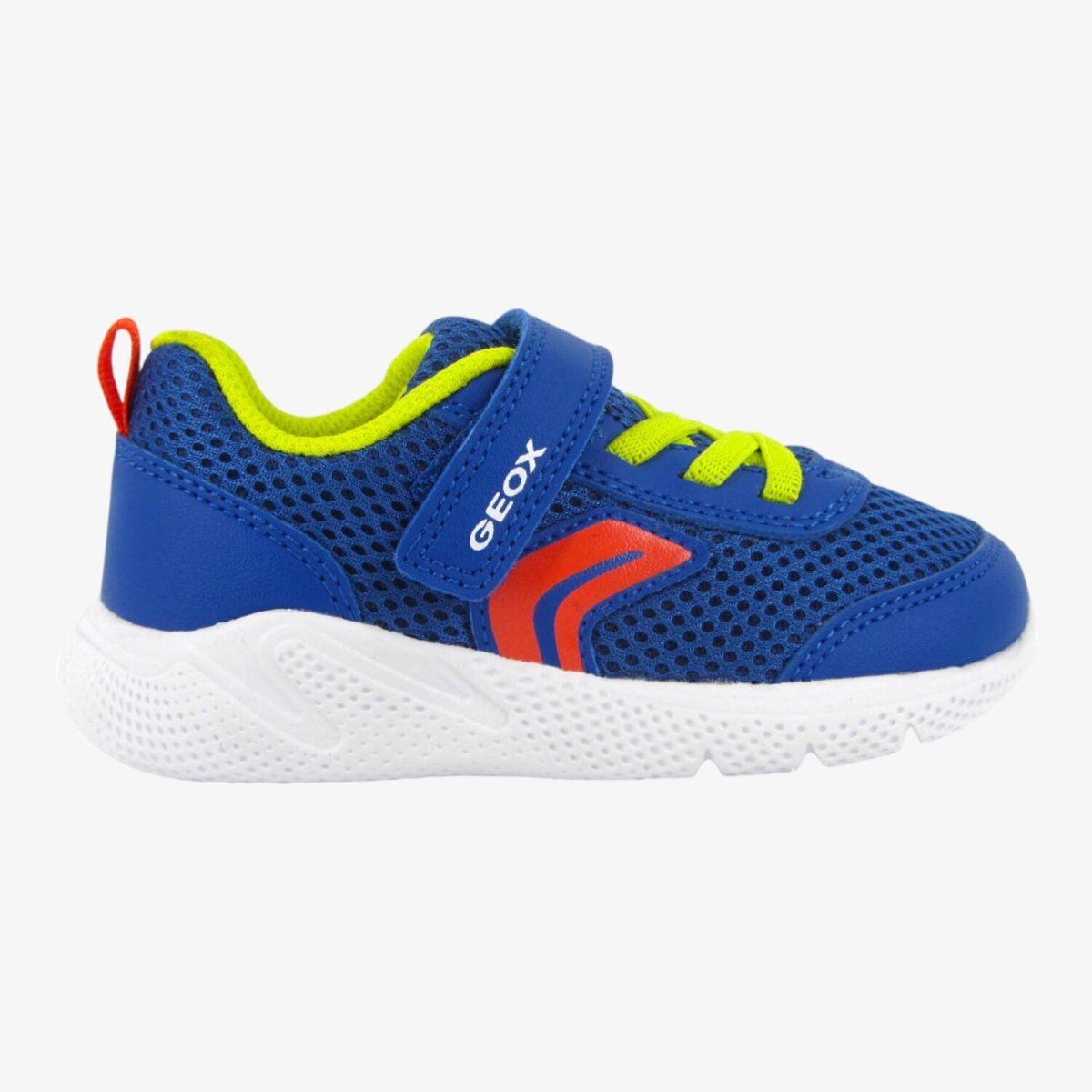 Geox B454UC  Sprintye Scarpa Sportiva bambino